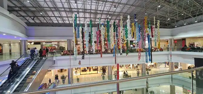 معین مال تهران