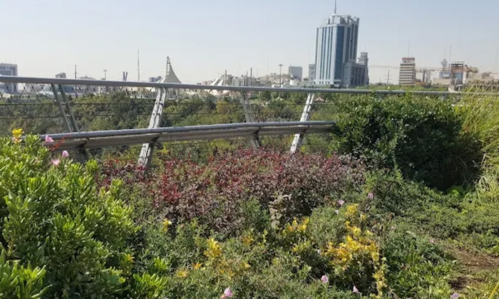 پارک طالقانی تهران