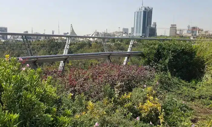 پارک طالقانی تهران