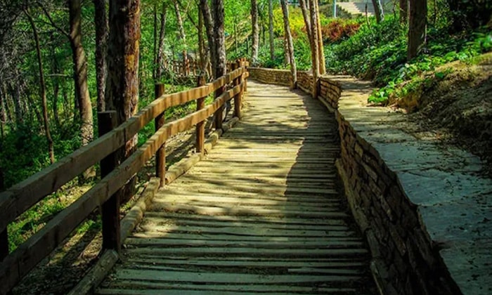 پارک طالقانی تهران