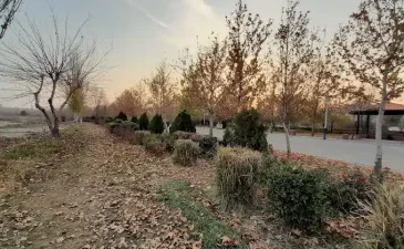 بوستان ولایت تهران