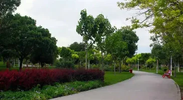 پارک بسیج مشهد