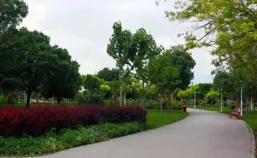 پارک بسیج مشهد