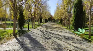 پارک بسیج مشهد