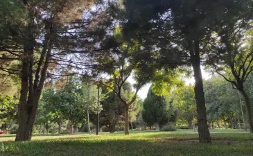 پارک بسیج مشهد