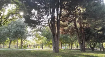 پارک بسیج مشهد