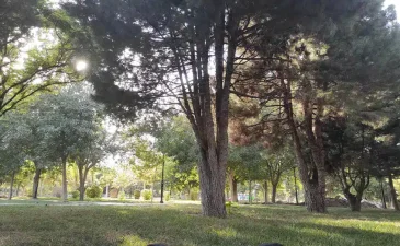 پارک بسیج مشهد