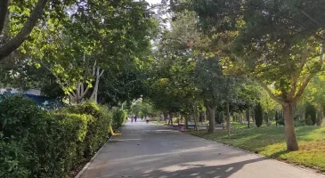 پارک بسیج مشهد