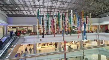 معین مال تهران