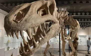 موزه پارک ژوراسیک مشهد