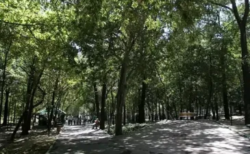 پارک قیطریه تهران