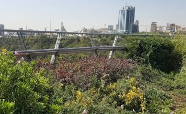 پارک طالقانی تهران