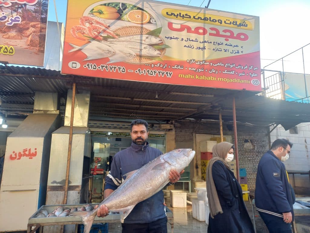 ماهی فروشی شهرک عربا مشهد