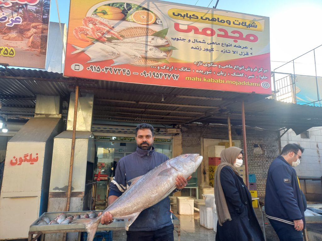 ماهی فروشی شهرک عربا مشهد