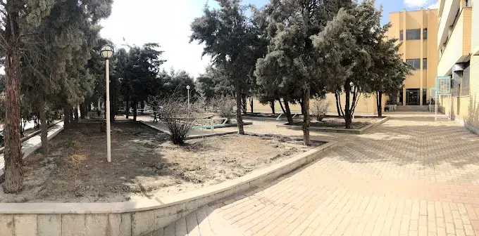 دانشگاه آزاد مشهد
