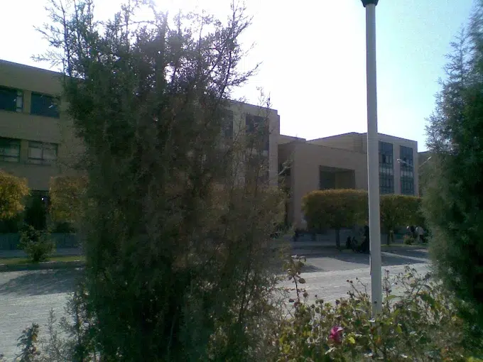 دانشگاه آزاد مشهد