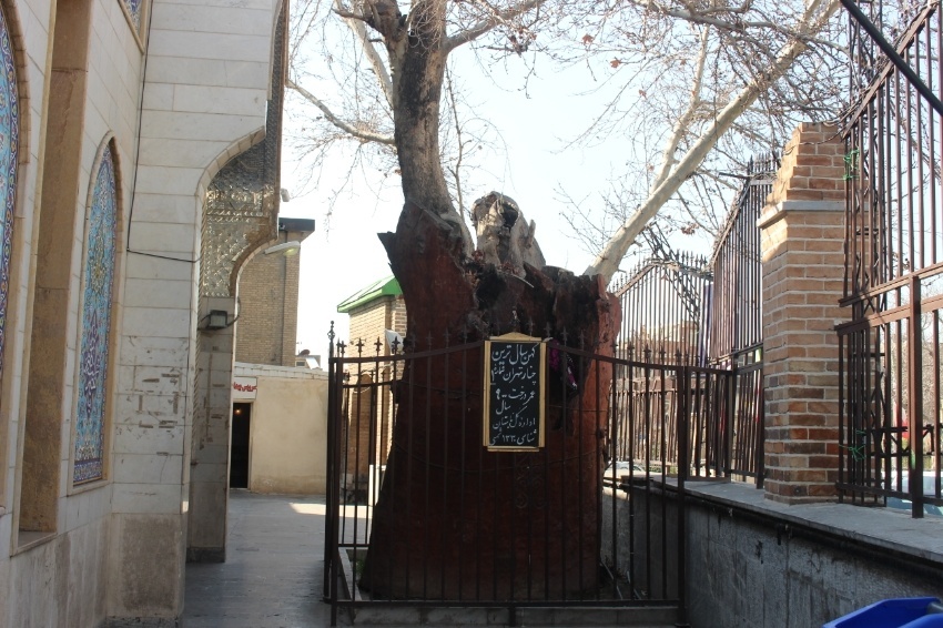 امامزاده یحیی تهران