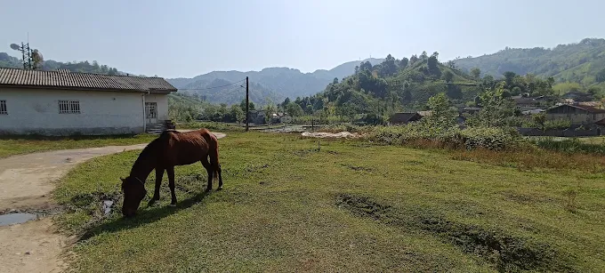 تنگه نارنج‌ بن نوشهر
