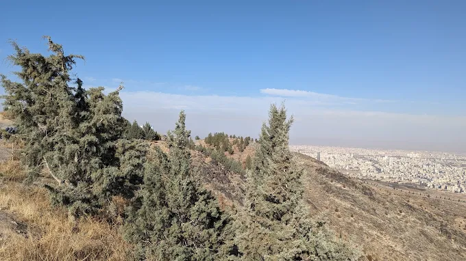بام صیاد شیرازی مشهد
