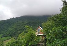 لاویچ