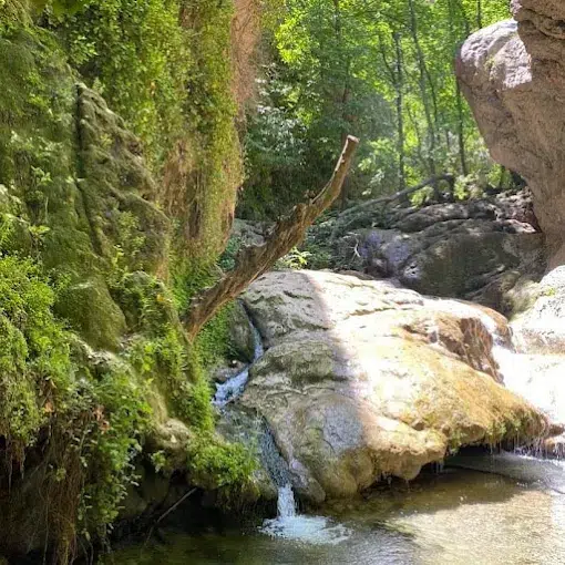 تنگ بستانک
