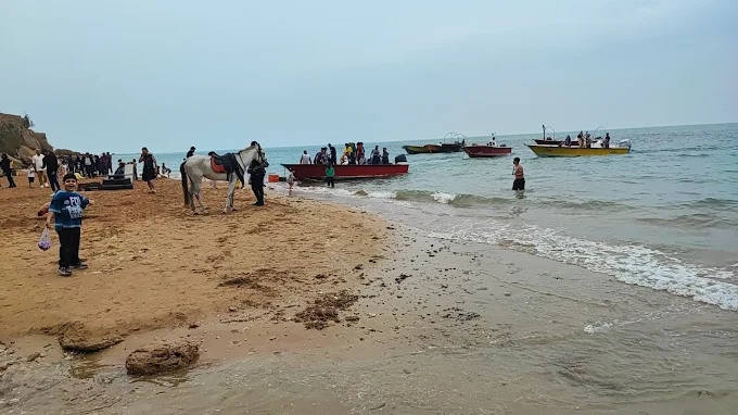 امکانات ساحل و پارک ریشهر