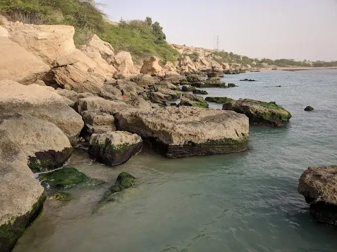 ساحل ریشهر