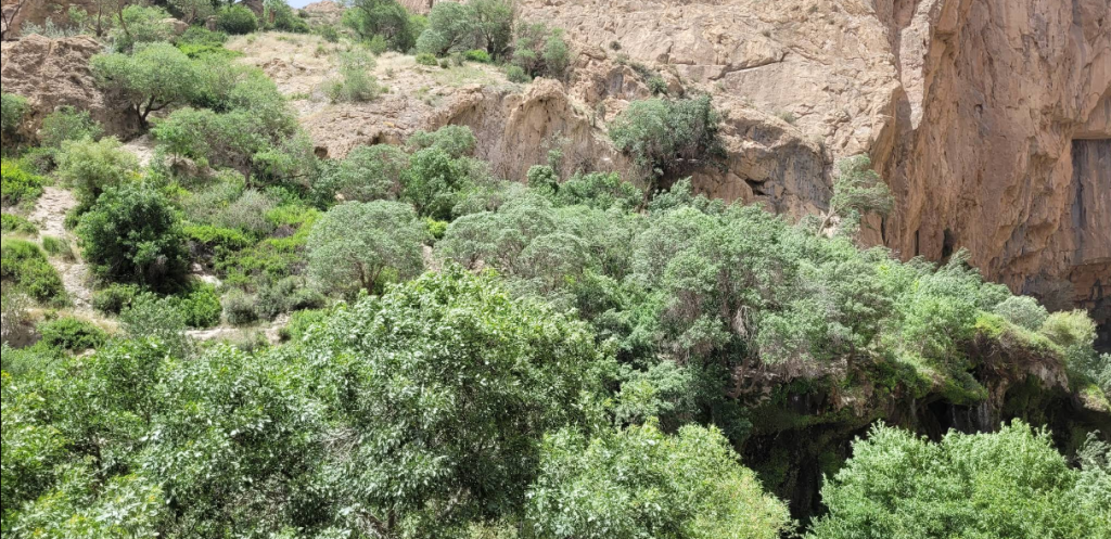تنگه براق
