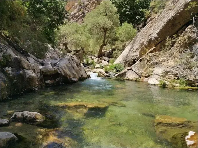 تنگ تیزاب