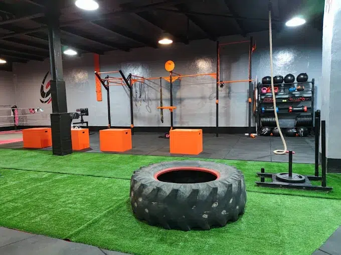 بهترین باشگاه‌ بدنسازی مشهد